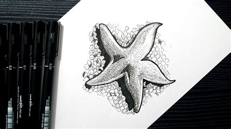 Starfish Black And White Drawing