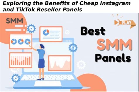 Exploring The Benefits Of Cheap Instagram And TikTok Reseller Panels