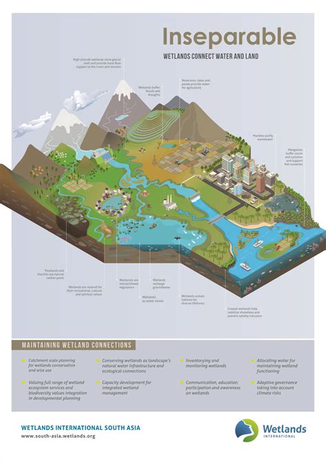 Launch Of Wetlands Connect Water And Land Poster Wetlands