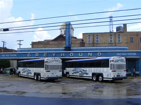 Showbus International Bus Image Gallery Usa Greyhound