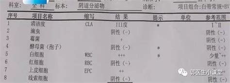 一分钟教你快速看懂白带常规报告