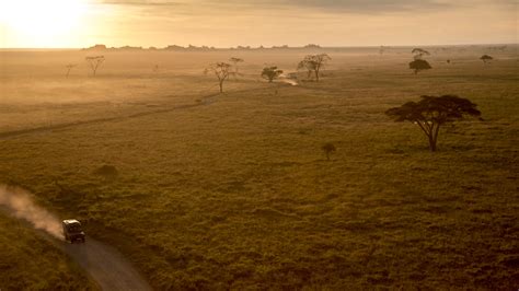 Days Serengeti Flying Safari Serengeti National Park Safaris