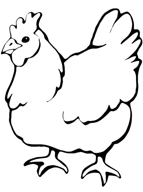 Immagini Da Colorare Gallina Disegnidacolorare It Disegni Di The Best