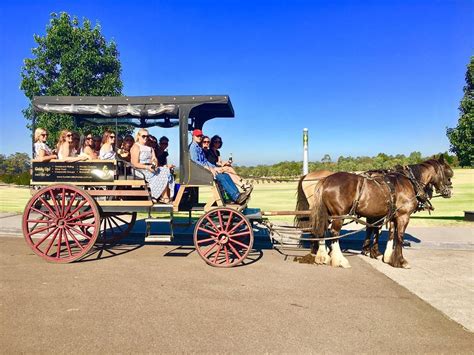 45-minute Vineyard Horse-Drawn Carriage Ride - Hunter Valley Horses Reservations