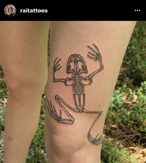 Frog Skeleton Tattoo In 2024 Skeleton Tattoos Frog Tattoos Tattoos