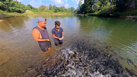 Visited Nengmandalgre Fish Sanctuary In Walliam Nagar East Garo Hills