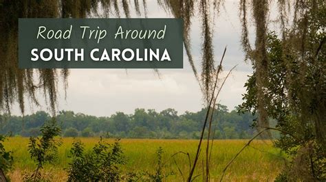 South Carolina Road Trip for Nature Lovers