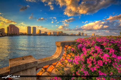 West Palm Beach Flowers at Waterway | HDR Photography by Captain Kimo