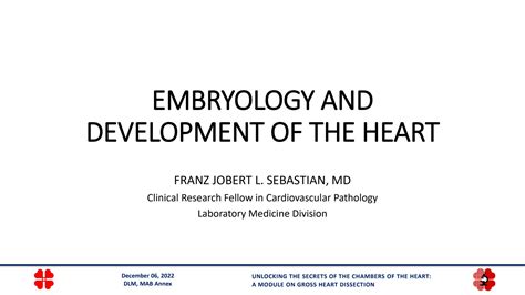 SOLUTION: Embryology and development of the heart - Studypool