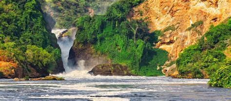 2 Days Murchison Falls Wildlife Safari Standard Gorilla Safaris