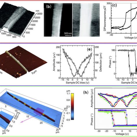 AFM PFM Measurement Of A PZT B BTO And C KNN Nanorods A 3D