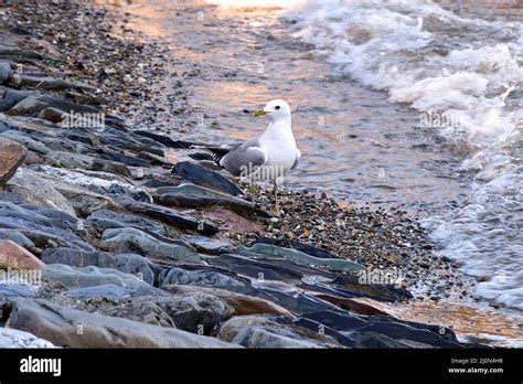 View of Luss Stock Photo - Alamy
