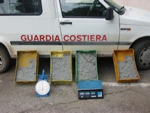 Commercio Illegale Prodotti Ittici Sequestri Guardia Costiera Stato