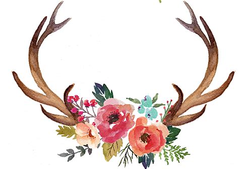 Freeuse Stock Deer Antler Moose Clip Antlers With Flowers Clipart