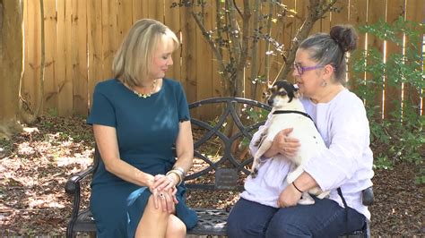 Pet Of The Week Echo The Rat Terrier Mix Wkrg News