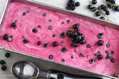 Blackcurrant Ice Cream Recipe - Happy Foods Tube