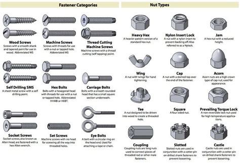 Types of Nuts and Bolts - GreysonnBlevins