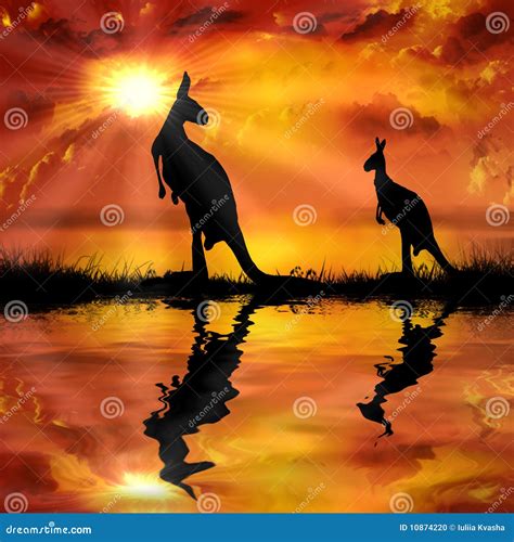 Kangaroo On A Beautiful Sunset Background Stock Photo - Image: 10874220