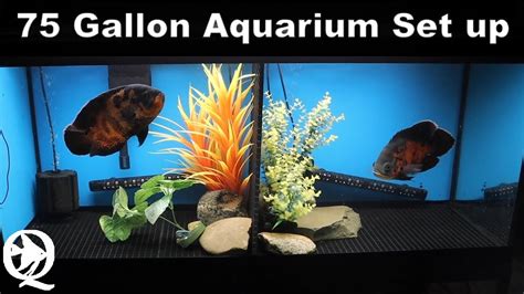 75 Gallon Freshwater Aquarium Setup Youtube