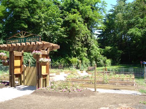 The Community Garden – Across the Margin