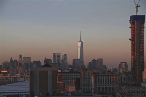 The view from my window in NYC - Foxglove Lane