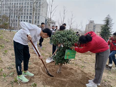 理工学院开展植树节种树活动 河南开封科技传媒学院