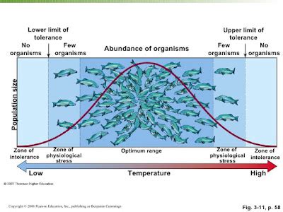 Ecological Range Of Tolerance