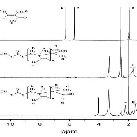 H Nmr Spectra Of Maa Monomer And Pmaa Paa Homopolymers Download