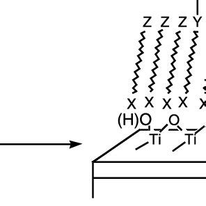 Silanization of the TiP-modified surface is enhanced by its high OH... | Download Scientific Diagram