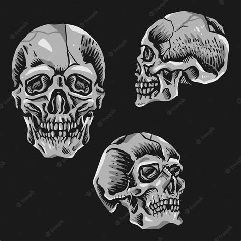 Premium Vector | Retro Vintage Skull Tattoo