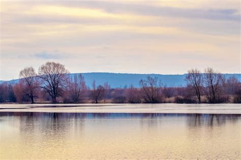 Premium Photo Spring Landscape With Trees By The River During Sunset