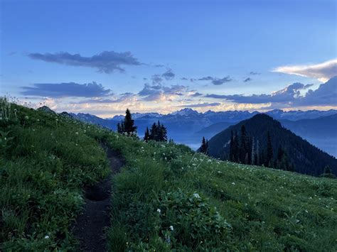 On Hiking the Pacific Crest Trail - The Trek