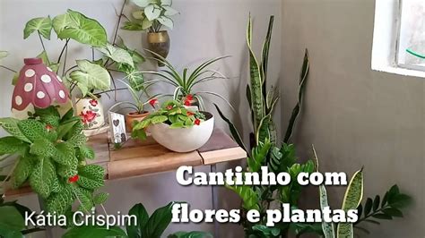 Cantinho Bastante Claridade Plantas E Flores Dentro De Casa Dicas