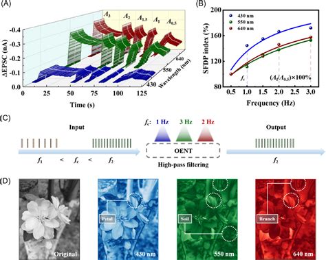 Flexible Optoelectronic Neural Transistors With Broadband Spectrum