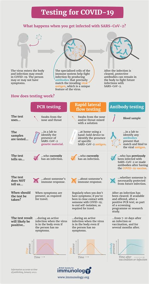 COVID 19 Testing Explained British Society For Immunology