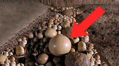 Hiker Finds Strange Stones In Cave When Expert Sees It He Turns