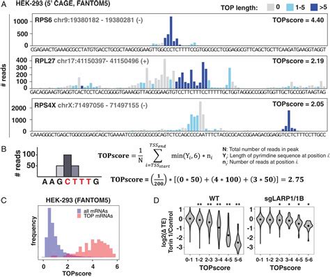 Global Analysis Of Larp1 Translation Targets Reveals Tunable And