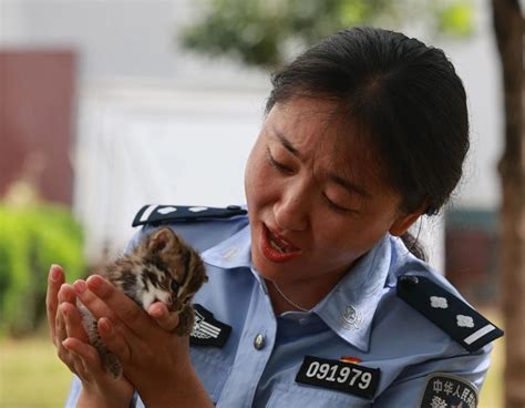 警民合力救助国家二级重点保护野生动物——豹猫 Isenlincn