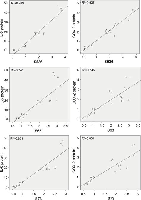 Neuromedin B Mediates Il 6 And Cox 2 Expression Through Nf κb P65 And