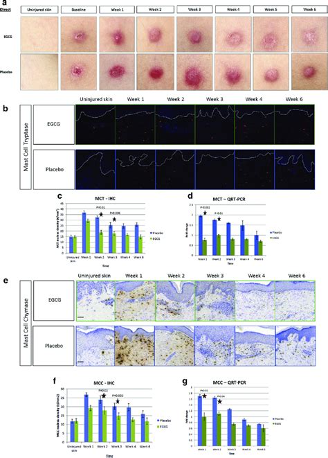 Direct Application Of Topical Epigallocatechin Gallate Egcg A