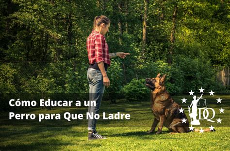 Puedes Entrenar A Un Perro Para Que No Ladre