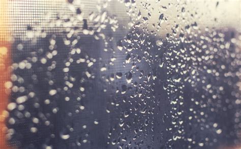 Glass Window With Water Droplets Hd Wallpaper Wallpaper Flare