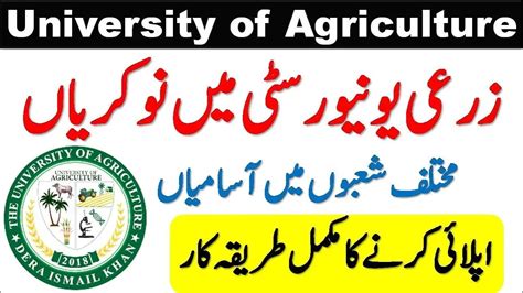 University Of Agriculture Dera Ismail Khan Jobs 2024