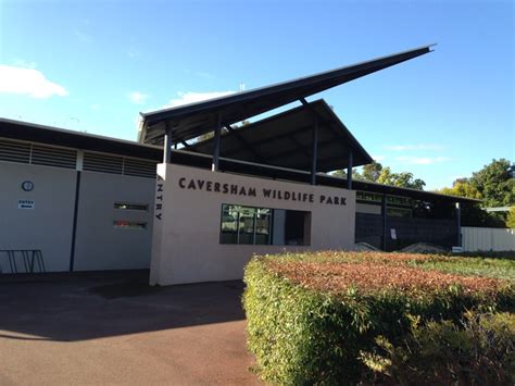 Caversham Wildlife Park's New Penguin Exhibit