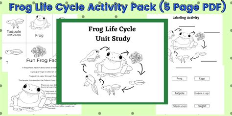 Pond In A Jar Pond Lake Craft Printable Frog Life Cycle Activity