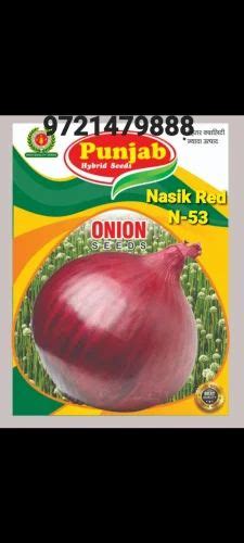 Natural Red Onion Seeds Nasik N 53 Pack Packaging Size 1 Kg At Rs