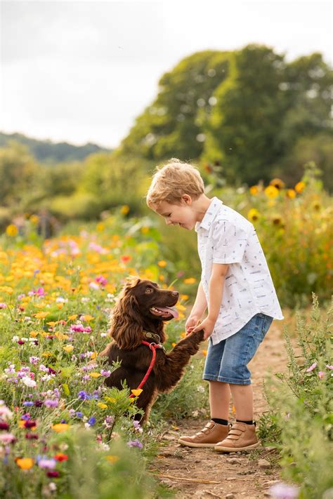 Dog Portfolio - Imogen Moon ABIPP - Equine & Dog Photographer In Derbyshire