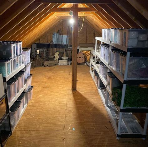 17 Clever Attic Storage And Organization Ideas Trendey Garage Attic Storage Attic Storage