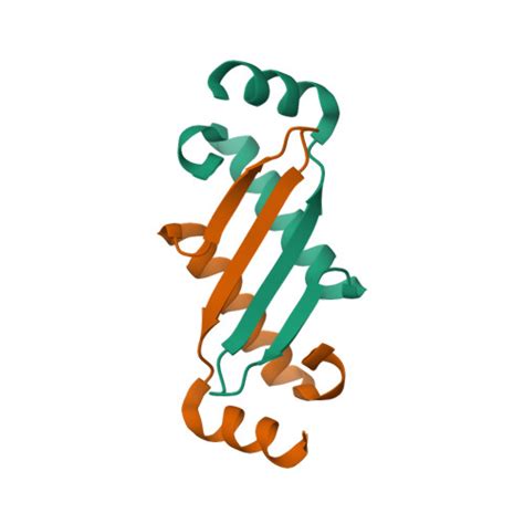 RCSB PDB 1P65 Crystal Structure Of The Nucleocapsid Protein Of