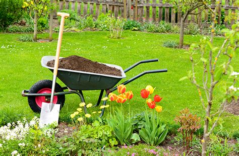 What Are The Benefits Of Lawn Fertilization